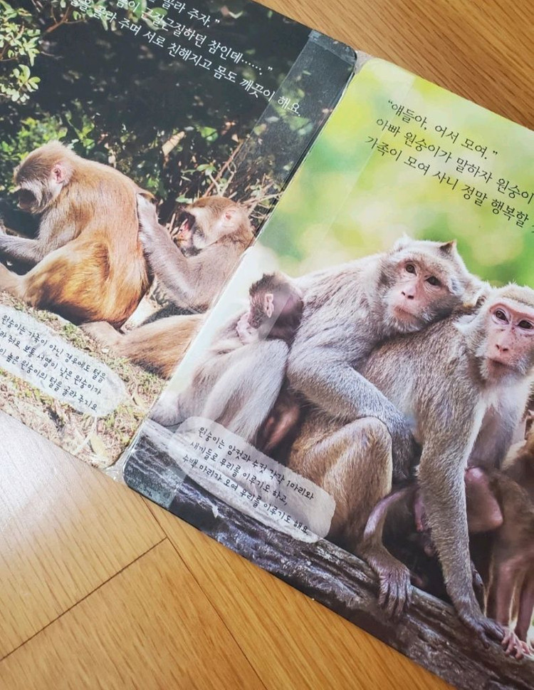 베베플레이 자연이콩콩콩--4