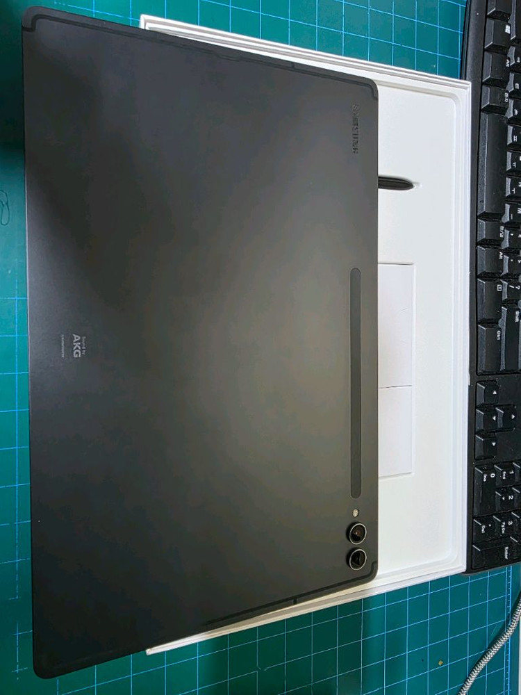 갤럭시탭s9울트라 256 wifi 팝니다.--3