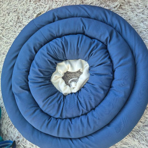 아르르 강아지 UFO 넥카라 38cm 이미지