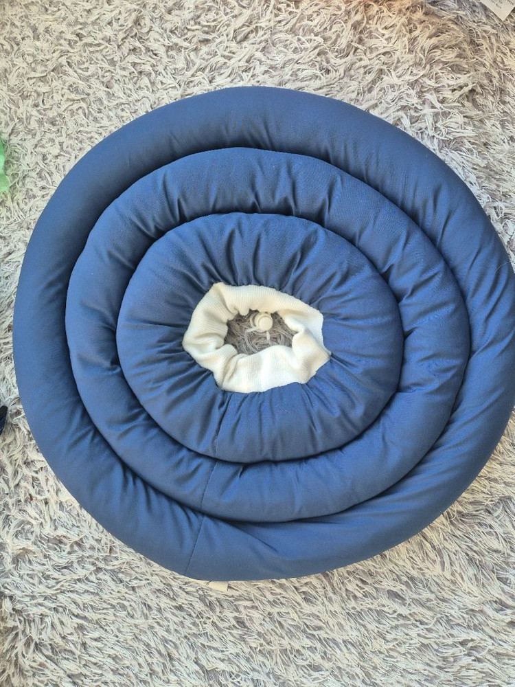 아르르 강아지 UFO 넥카라 38cm 이미지