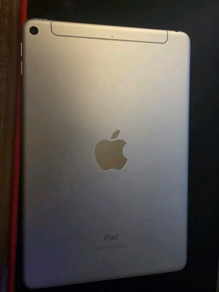 아이패드 미니5 64기가 판매합니다 이미지