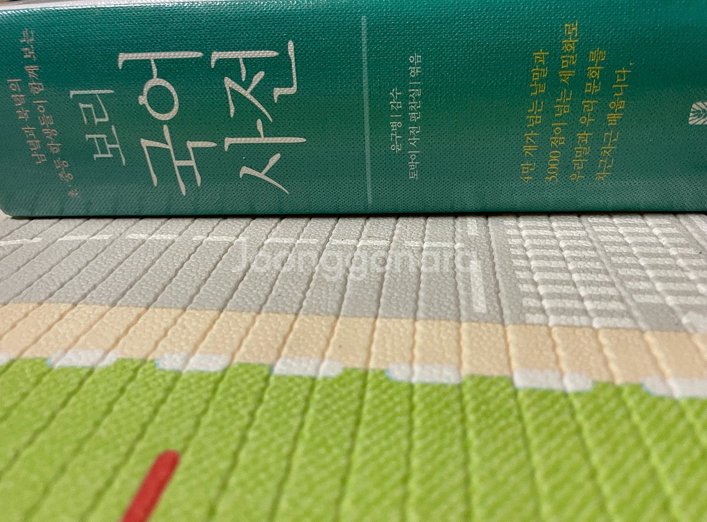 보리 국어사전 (개정증보판)--1