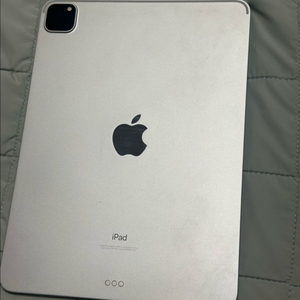 아이패드 프로 11인치 2세대