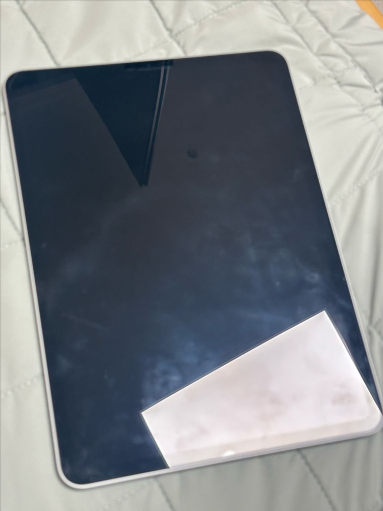 아이패드 프로 11인치 2세대--1