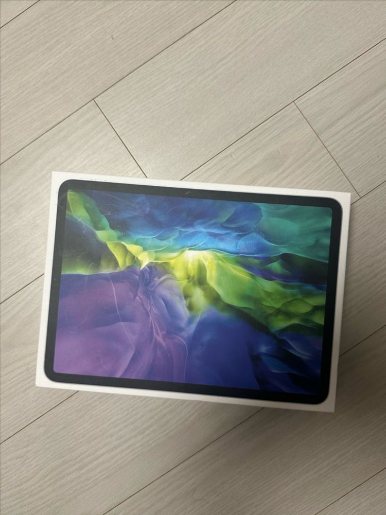 아이패드 프로 11인치 2세대--2