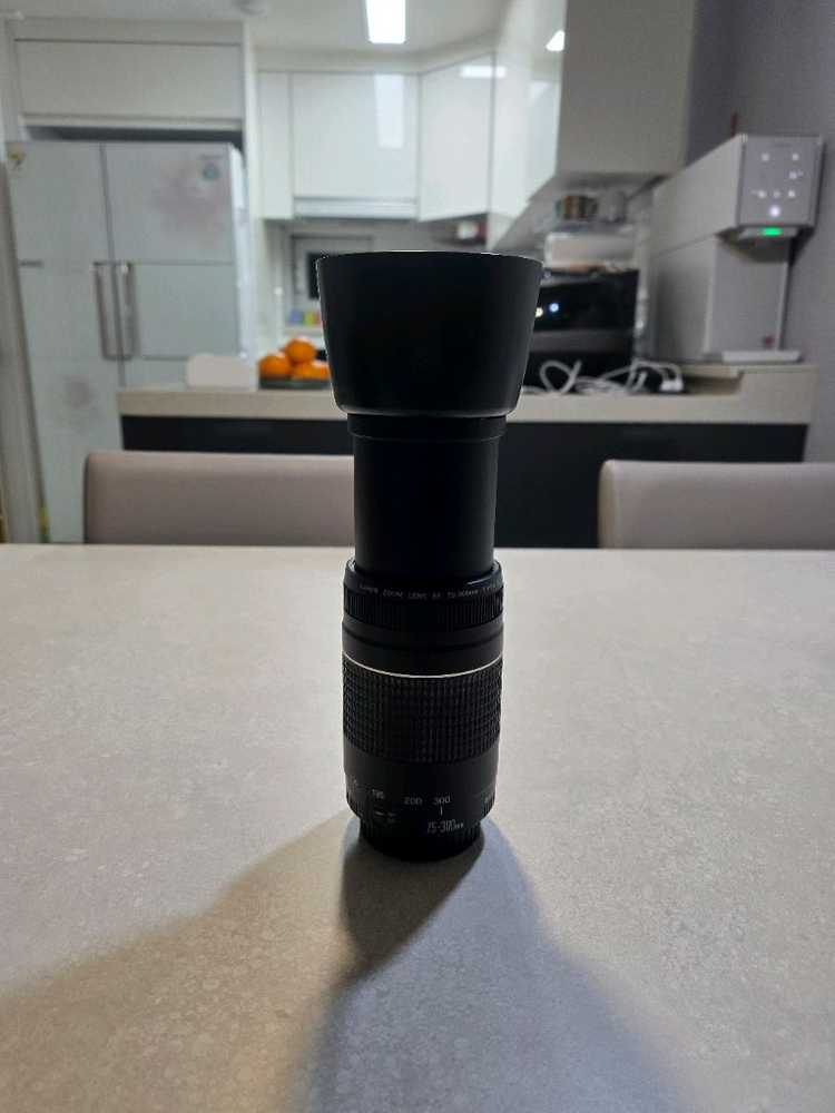 캐논 ef 75-300mm f4-5.6 III 망원렌즈--7