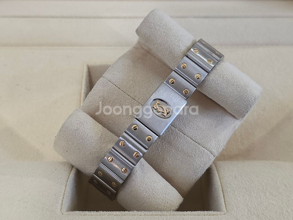 까르띠에 산토스 갈베 콤비 스몰 구형스트랩 W20012C4--6