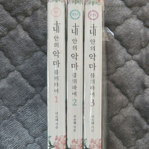 로맨스소설.개인지(이중첩자,내악마)