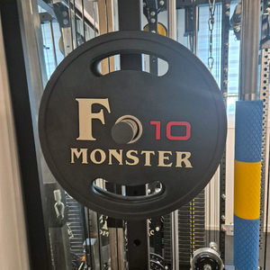 에프몬스터 우레탄 원판 10kg * 4장