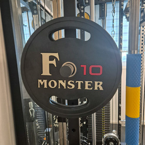 에프몬스터 우레탄 원판 10kg * 4장