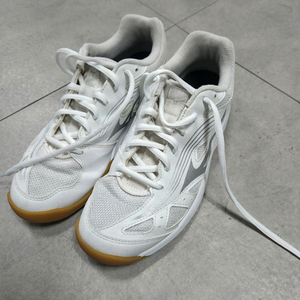 미즈노 사이클론 스피드3 각종스포츠화 250