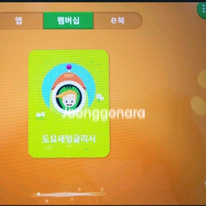 도요새 영어(프리패스)