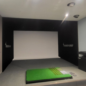 (가격인하)골프존 중고 비전플러스 팝니다.