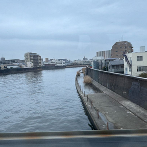 롤 rp 선물식 구매해요 1:6.5~7 구매해요 이미지