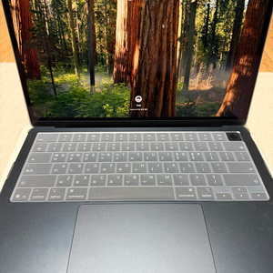 맥북에어 M4 13인치 16GB/256GB