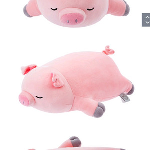 구해요. 꿀꿀이 인형 (돼지 인형) 이미지
