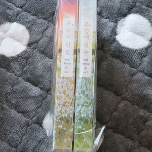 로맨스소설.개인지(오담에핀꽃) 반택포