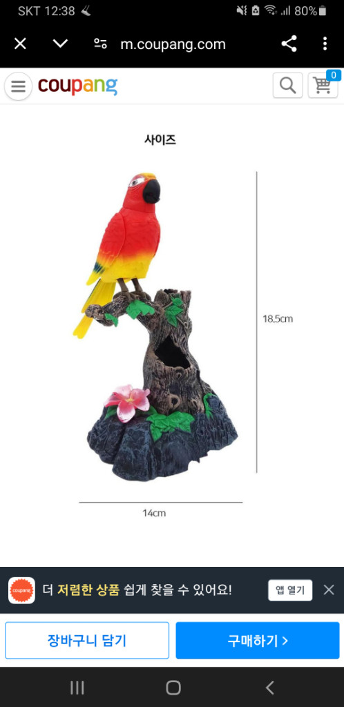 (미사용)말따라하는 댄싱버드 레드--6