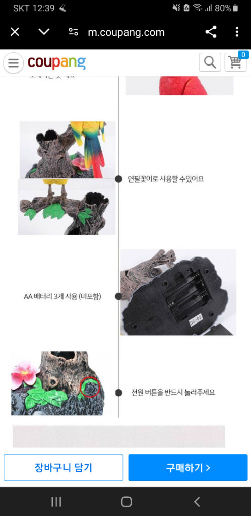 (미사용)말따라하는 댄싱버드 레드--7