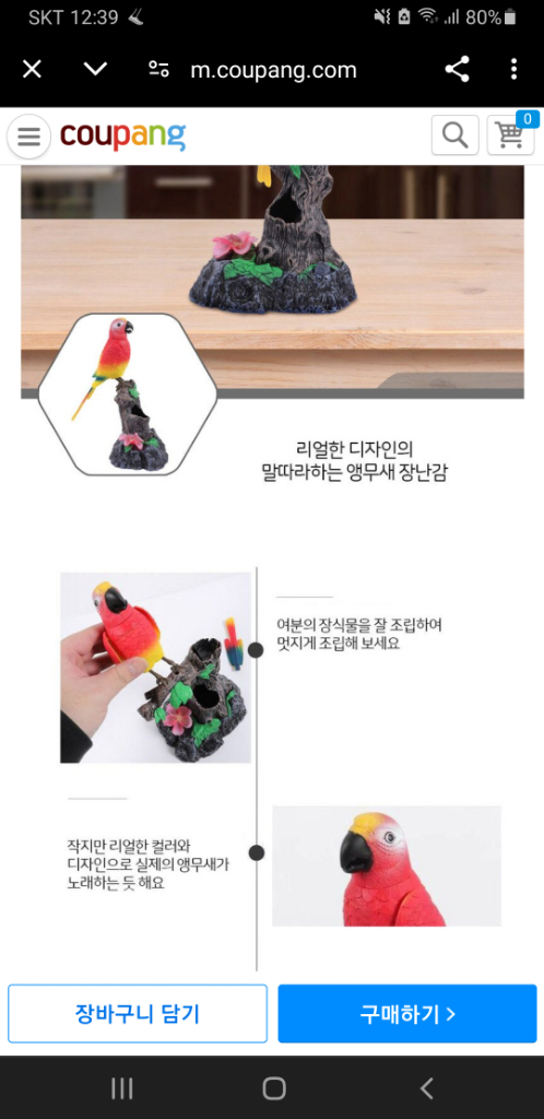 (미사용)말따라하는 댄싱버드 레드--8