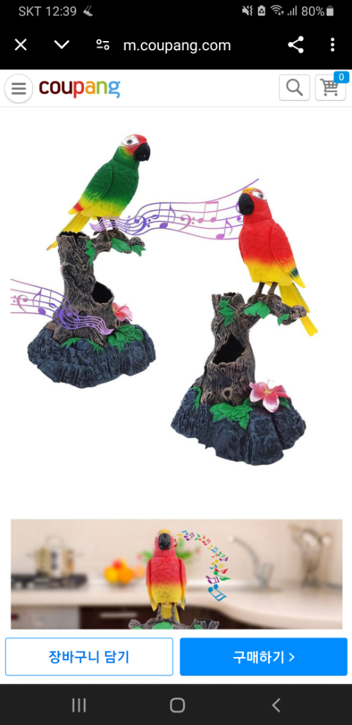 (미사용)말따라하는 댄싱버드 레드--9