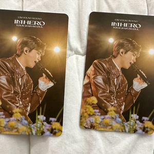 1/16(금), 임영웅 고척 콘서트 티켓