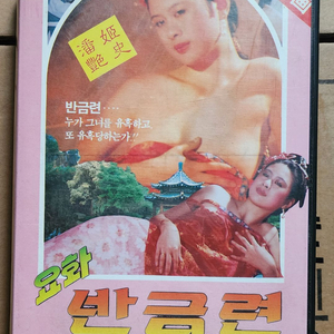 요화 반금련 비디오테이프