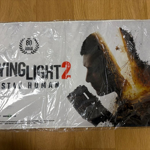 다잉라이트 특전 장패드