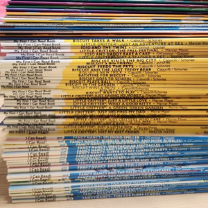 아이캔리드 플라이가이 영어원서