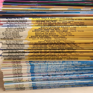 아이캔리드 플라이가이 영어원서