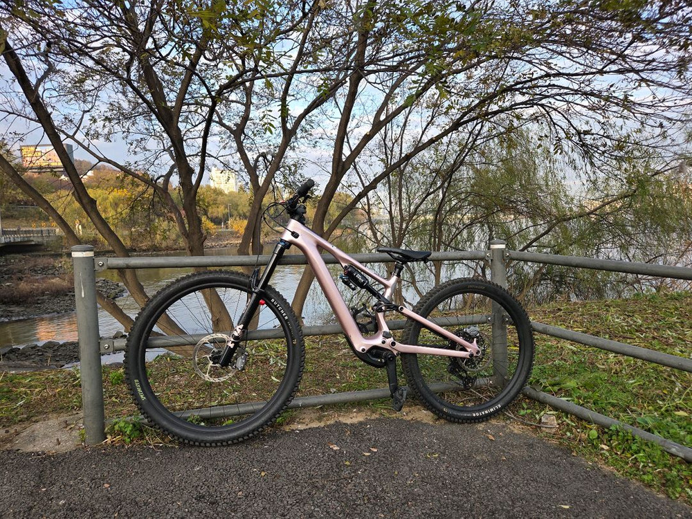 스페셜라이즈드 카본 전기MTB 자전거--8