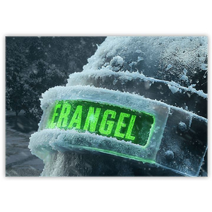 스팀배그 얼어붙은에란겔 네임플레이트 스킨코드 이미지