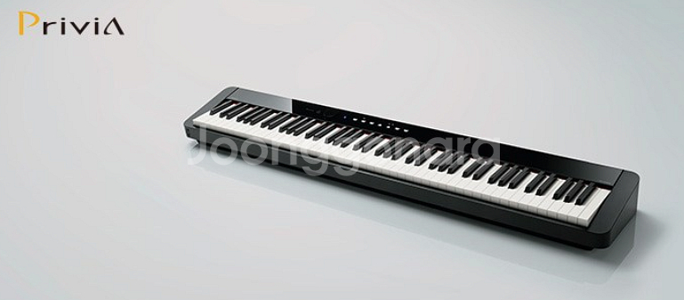 카시오 Casio PX-S3000--1