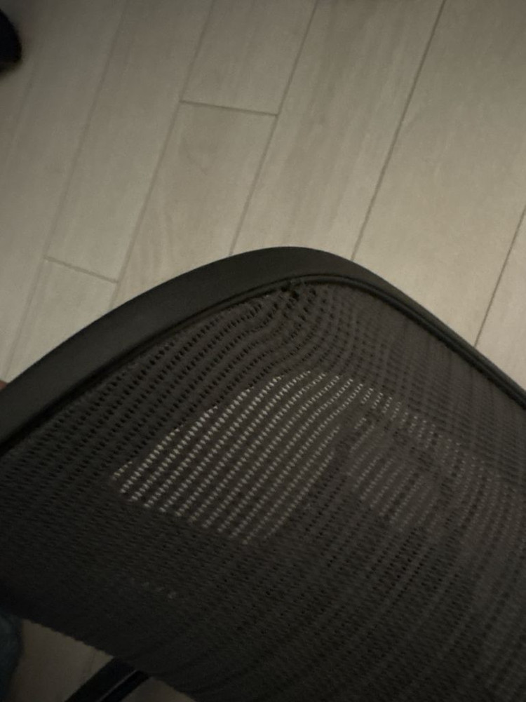 뉴에어론 아틀라스 헤드레스트 정품--2