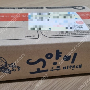 고양이 우주 비행대