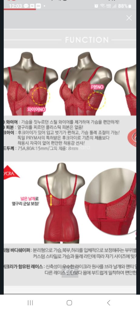 크리스티즈 코르셋 레드 바디쉐이퍼75A~B--2