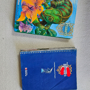 미국초등교과서 트레져스 2권 일괄