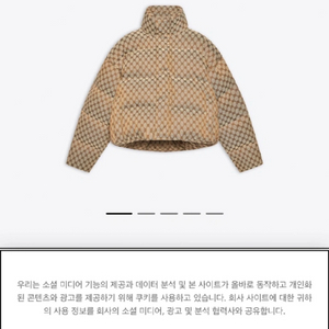 구찌 발렌시아가 해커 남성패딩 이미지