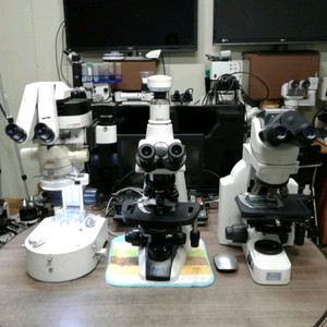 현미경 대여렌탈~편광.실체.위상차.형광 이미지