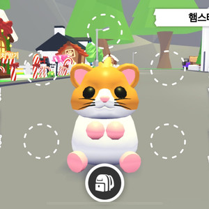 입양하세요 햄스터 무능