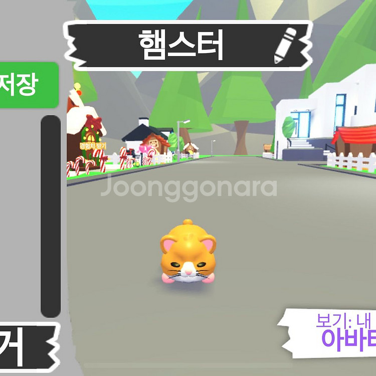 입양하세요 햄스터 무능--1