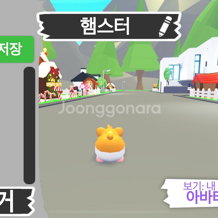 입양하세요 햄스터 무능--3