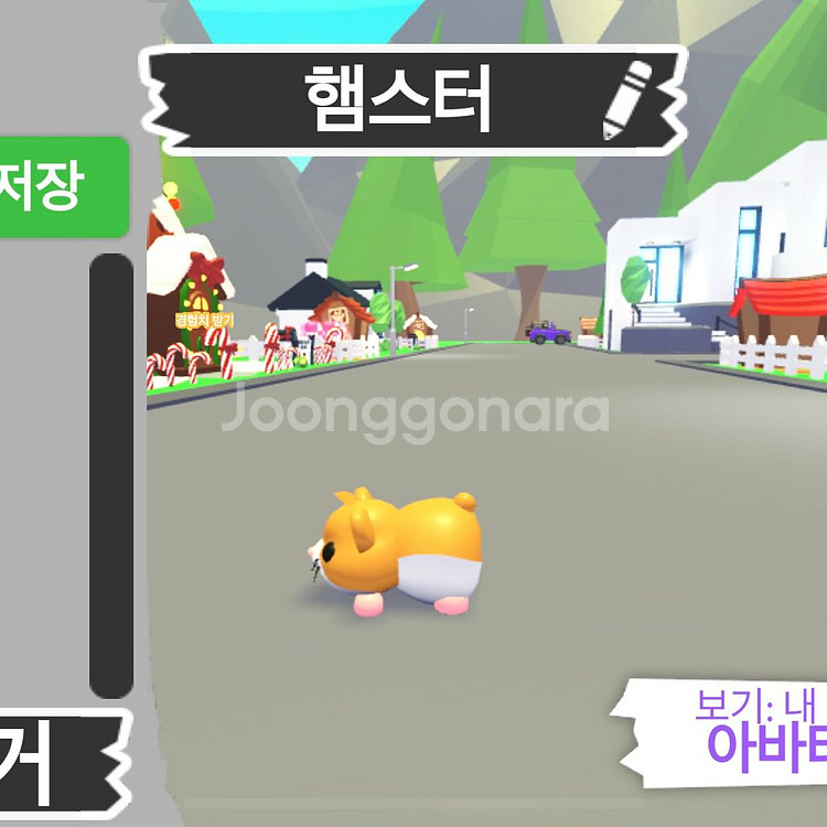 입양하세요 햄스터 무능--4