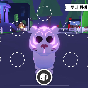 입양하세요 루나 흰색 호랑이 네온