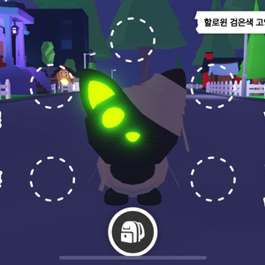 입양하세요 할로윈 미라고양이 네온