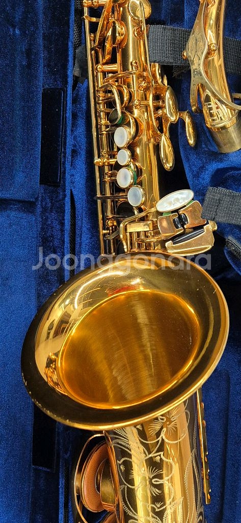 알토색소폰 과데라골드--3