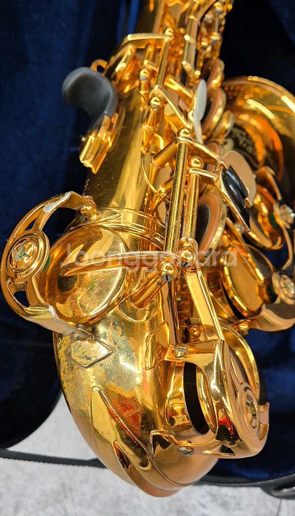 알토색소폰 과데라골드--5