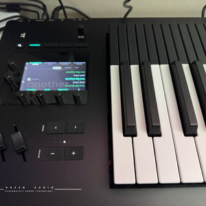 Expressive E Osmose 49키 팝니다