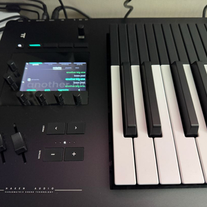 Expressive E Osmose 49키 팝니다