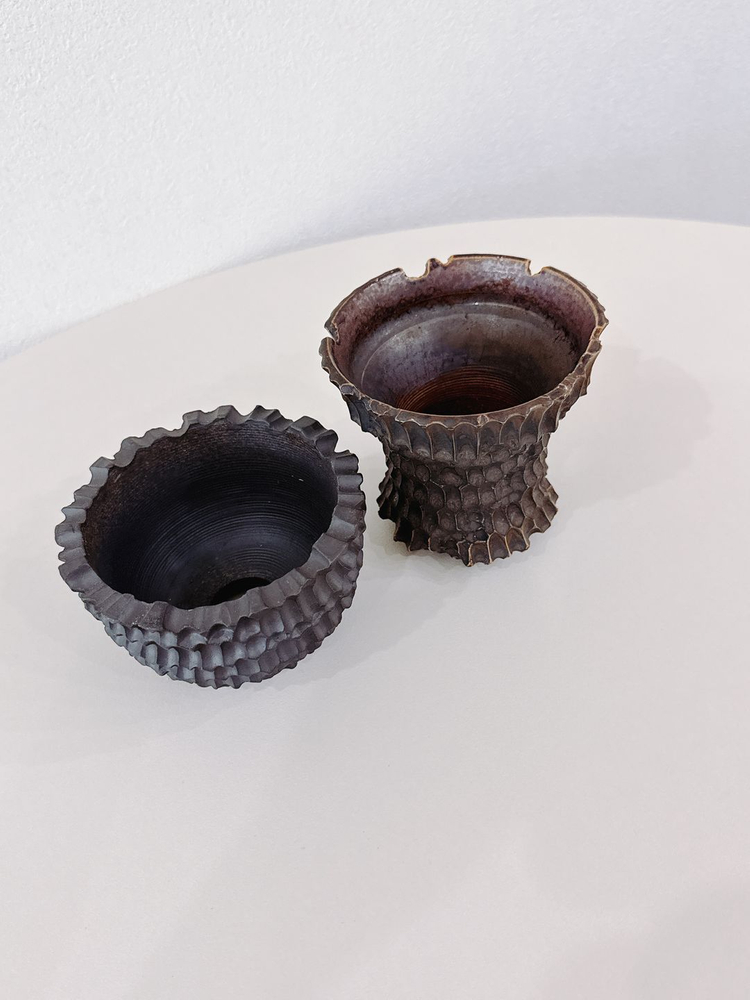 코덱스팟 2종 일괄--1